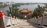 东阿阿胶城