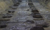 荆州楚王车马阵景区