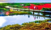 红海滩国家风景廊道