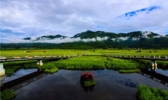 腾冲北海湿地