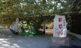 葡萄沟