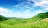 紫柏山国家森林公园