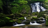 木王国家森林公园