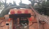 彩灯公园动物园