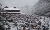 中坝大峡谷
