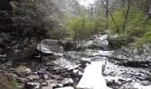 双龙生态旅游景区