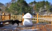 中国秦岭悠然山高山湿地景区