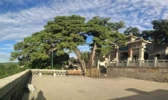 太原市龙山文物保管所