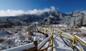 硗碛藏寨·神木垒景区