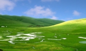 大海草山