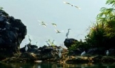 渠洋湖