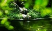 禅泉温泉