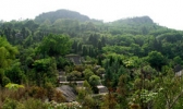 佛手山风景区