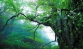 大熊山国家森林公园