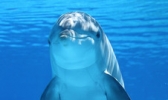 泉城海洋极地世界