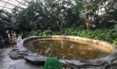 盛泰温泉水世界