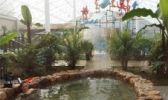 营口小雨温泉