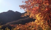 清风岭