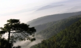 武定狮子山