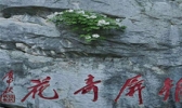 银屏山