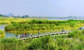黄河口生态旅游区
