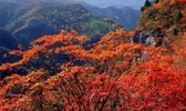 八台山