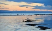 青海湖仙女湾景区