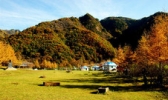 六盘山国家森林公园