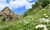 黄花沟草原旅游区