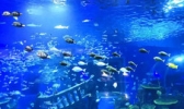 莫尼山泉小镇海洋世界