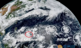 2019年5号台风马上就要编号了！然而这俩双台风胚胎是怎么回事？