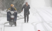 山东半岛地区迎入冬以来最大降雪