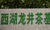 中国有哪些名茶 中国名茶