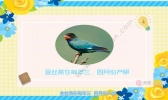 燕窝是怎么形成的  燕窝的形成方式