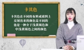 卡其色是什么颜色 卡其色和米色的区别