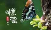 惊蛰怎么读音 惊蛰的“蛰”字怎么读