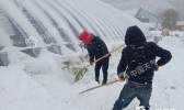 东北仍有强降雪 江南华南局地降温超10℃