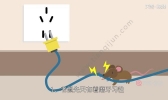 老鼠的危害  老鼠的危害有哪些