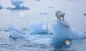 科学家：全球变暖导致永久冻土层病毒复苏