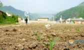 湖南少雨天气加剧全省旱情 未来三天依旧晴天为主