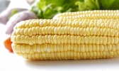 玉米什么时候成熟 吃玉米的最佳时间