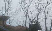 未来三天重庆仍将阴雨缠绵 气温缓慢回升