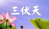 2017末伏是哪天结束