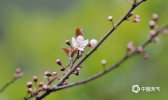 暖风拂面 春满贵阳
