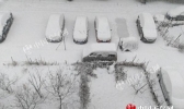 我国24省份将现雨雪 太原郑州等地迎初雪