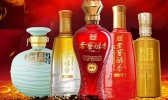 泸州老窖防伪码查询