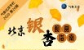 2020北京银杏观赏指南