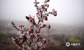 春节假期重庆酉阳遭遇雨雪冰冻天气