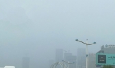 山东大雾致百余高速收费站限行 后天冷空气前来消雾降温
