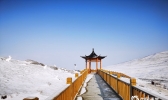 甘肃乌鞘岭雪后初晴天空通透蓝 牦牛雪中悠闲漫步